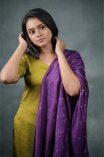 Load image into Gallery viewer, Aarvi